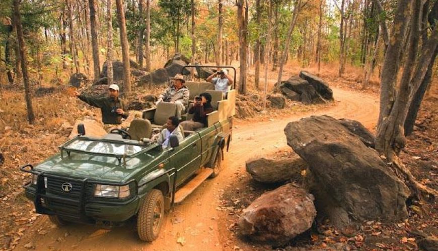 3 Tips for Planning a Luxury Safari in India